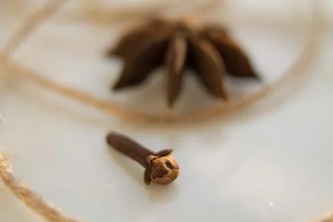 Anise tree seeds Stock Photos
