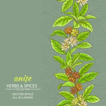Anise vector background Stock Illustration