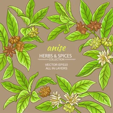 Anise vector frame Stock Illustration