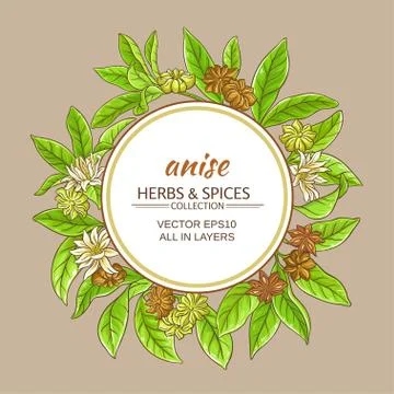 Anise vector frame Illustrazione stock