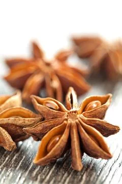 Anisetree spice Stock Photos