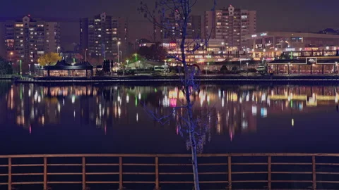Ankara, TURKEY- 2025, December 19: 4K Night City Time-Lapse Lake Reflection Stock Footage 324720047