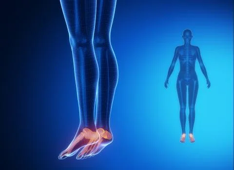 ANKLE blue x--ray bone scan Stock Illustration