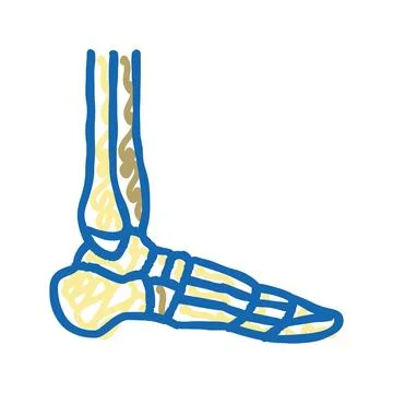 Ankle bone icon doodle illustration Stock Illustration
