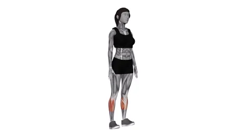 Ankle - Dorsal Flexion Female 1 Fitness  