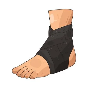 Ankle Support illustration Stock Illustration