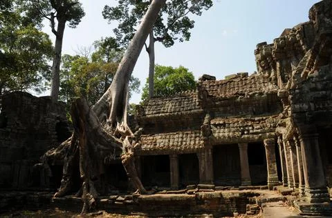 Ankor wat 45 Stock Photos