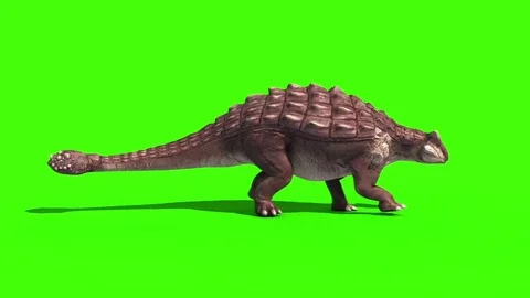 Ankylosaurus Dinosaurs Walk Loop Side 3D Animation Green Screen Jurassic Park Vídeos de archivo 75264298