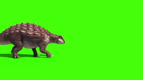 Ankylosaurus Dinosaurs Walk Side 3D Animation Green Screen Jurassic Park Vídeo Stock 75264383