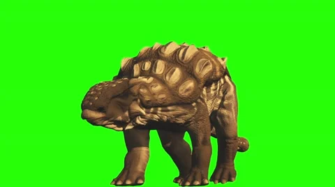 Ankylosaurus Stock Footage 50736398