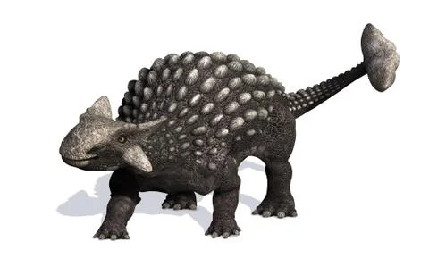 Ankylosaurus Stock Illustration