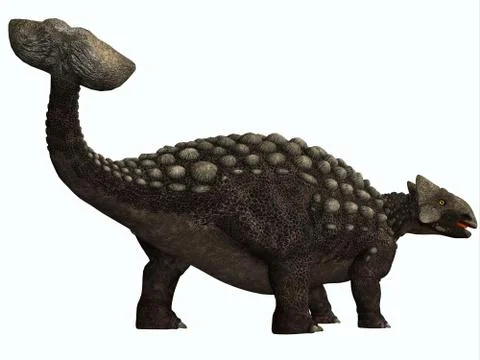 Ankylosaurus on white Stock Illustration
