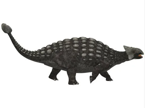 Ankylosaurus on white Stock Illustration