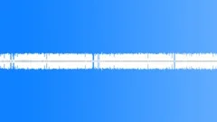 Anml cricket mid distance cricket chirping light background traffic Sound Effect