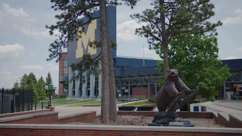 Ann Arbor, MI - May 27, 2022: University of Michigan Wolverine statue at stadium Stock Footage 200858675