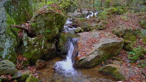 ANNA RUBY FALLS CREEK Stock Footage 228736656
