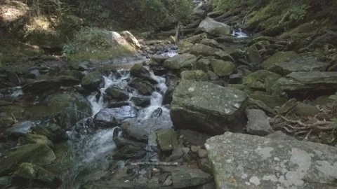 Anna Ruby Falls Georgia. Waterfalls deep in woods with sun, shade and water. Stock Footage 252774868