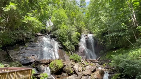 Anna Ruby Falls slow tilt up and down from twin waterfalls to shrub Видео 206083390