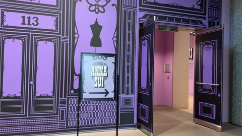 Anna Sui Exhibit 스톡 동영상 325562490