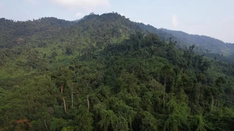 Annamite Range Aerial Forest Panorama Stock Footage 265952996