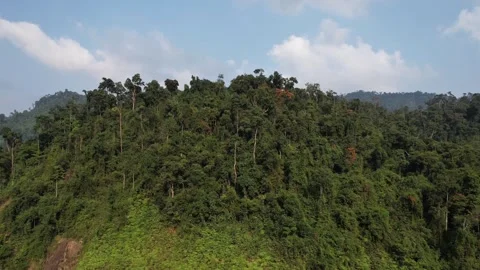 Annamite Range Aerial, Lush Canopy Vista Stock Footage 265952696
