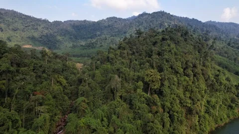 Annamite Range Biodiversity, Aerial Forest Panorama Stock Footage 265952889
