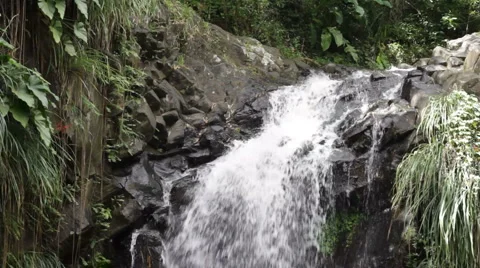 Annandale Waterfall, Grenada Stock Footage 999057