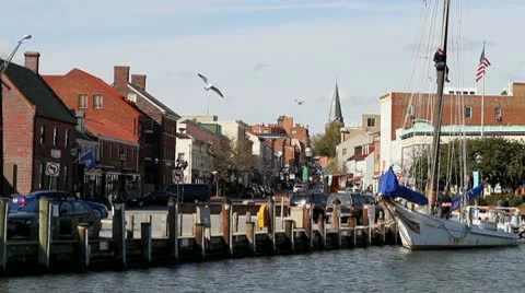 Annapolis Harbor Vidéo 10358493