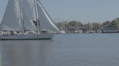 Annapolis Sailboat Stock Footage