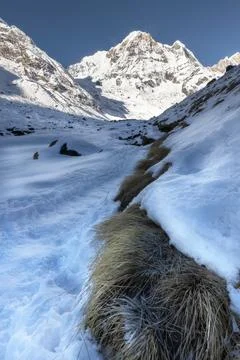 Annapurna base camp trek path Stock Photos
