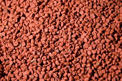Annatto Stock Photos