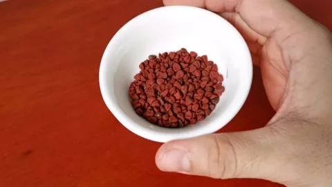 Annatto Seeds Stock Footage 231369341