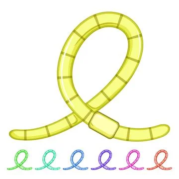 Annelid worm cartoon vector graphic Stock Illustration
