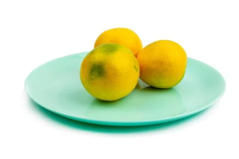 Anniversary grapefruit Stock Photos