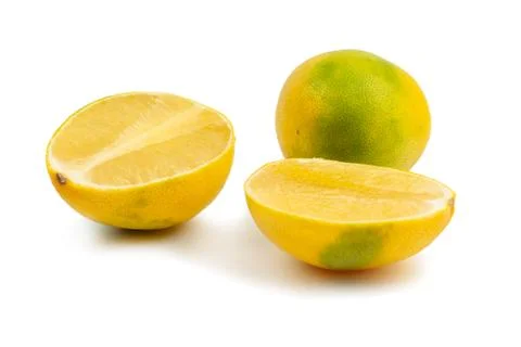 Anniversary grapefruit Stock Photos