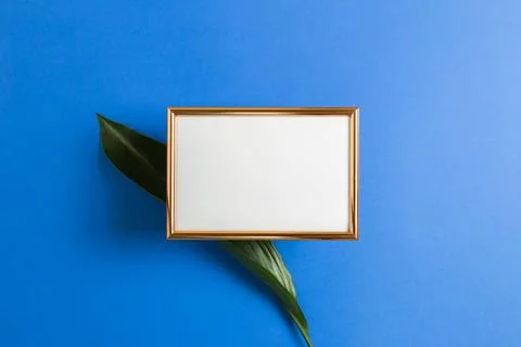 Anniversary message letter space. Empty photo frame with green leaf on blu... Stock-Fotos
