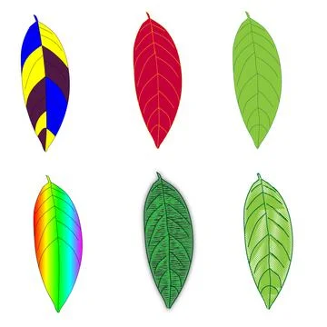 Anno tree leaf Stock Illustration