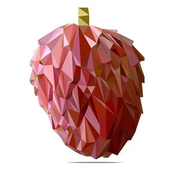 Annona sugar Apple. Illustrazione stock