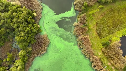 Annone Lake from the air Video stock 304356162