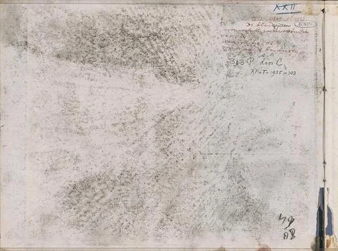 Annotation. Companion leaf A, front bract, from XXII sketchbook with 30 sh... Stock Photos