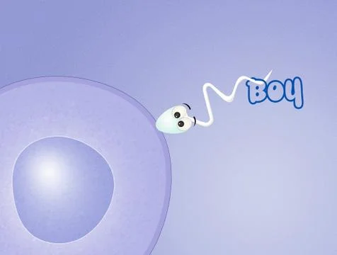 Announcement for birth Stock Illustration