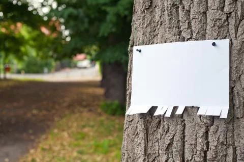 Announcement on tree Stock Photos