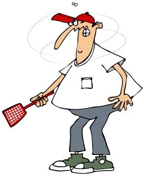 Annoying fly Stock Illustration