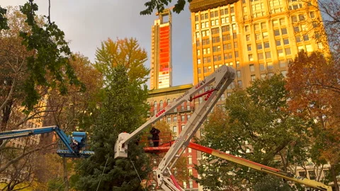 Annual Christmas tree lights preparing in Madison Square Park in New York City. Stock Footage 294661003