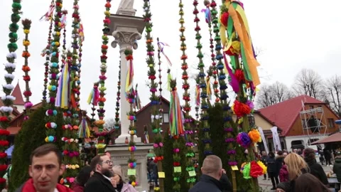 Annual contest for the tallest   Easter palm on Palm Sunday 库存影片 237380558