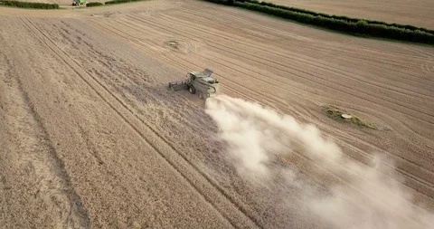 Annual harvest of crops Stock Footage 89839660