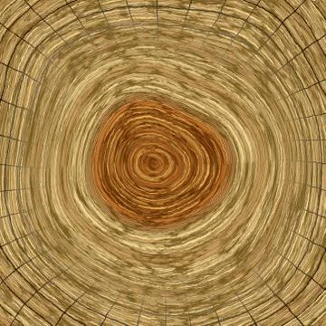 Annual rings in cut tree 스톡 일러스트
