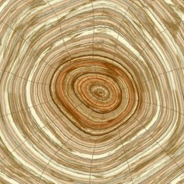 Annual rings in cut tree 스톡 일러스트