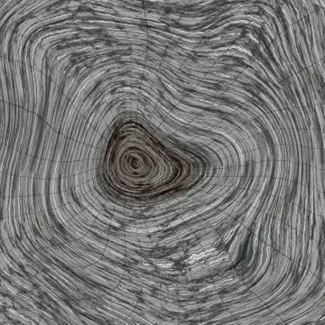Annual rings in cut tree 스톡 일러스트
