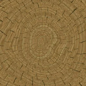 Annual rings in cut tree 스톡 일러스트